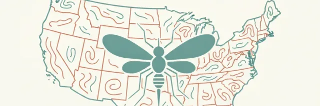 An abstract editorial symbol evoking "Locally-acquired dengue (continental US)", muted two-tone palette, flat vector.